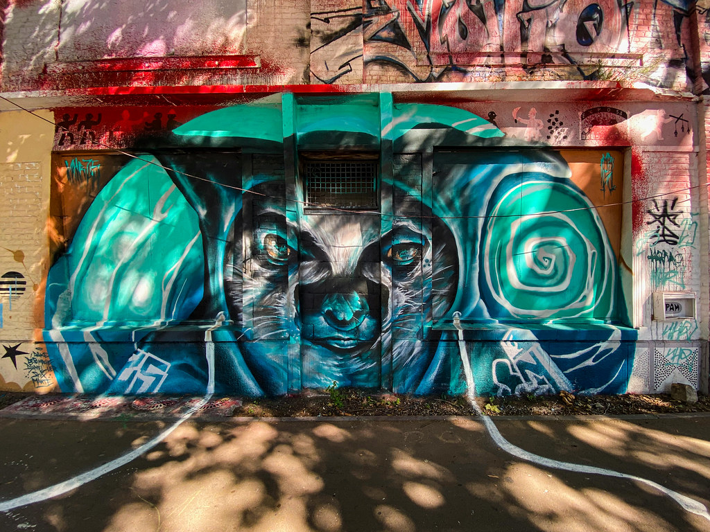 Fox by street artist machonenhr