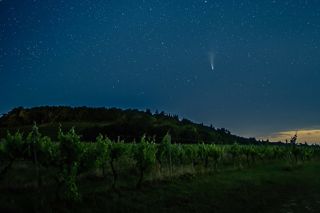Comet Neowise over Denbies vineyard, Surrey