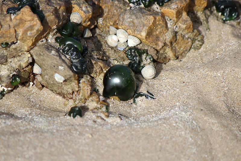 IMG_2009