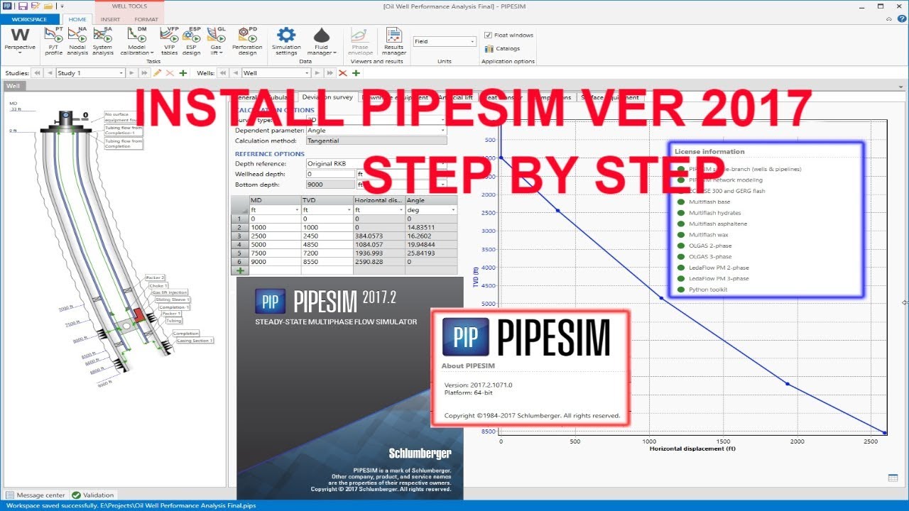 Working with Schlumberger PIPESIM 2017.2.1071 full