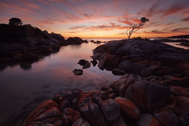 Sunrise at the Bay of Fires - Tasmania