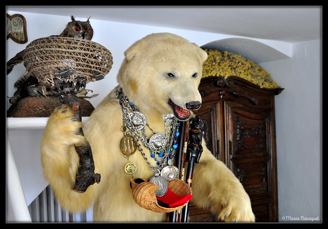 Accueil assuré par un ours empaillé dans la maison de Dali