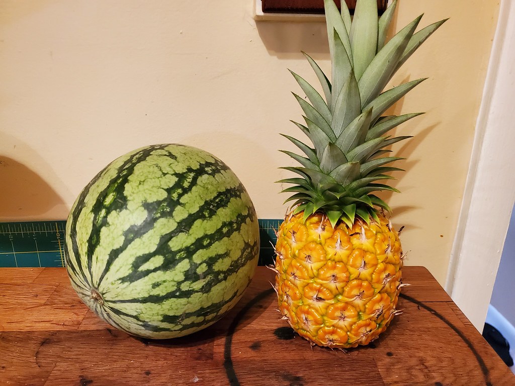 Can You Grow a Watermelon in a Pineapple? 
