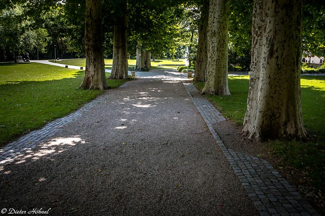 Eichtersheim Schloßpark