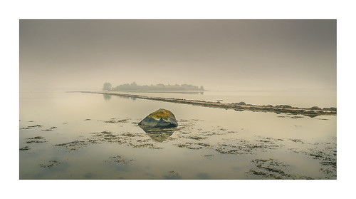 upclose faraway island islandhill high tide strangford lough comber newtownards misty day obscured landscape photography ronnielmills