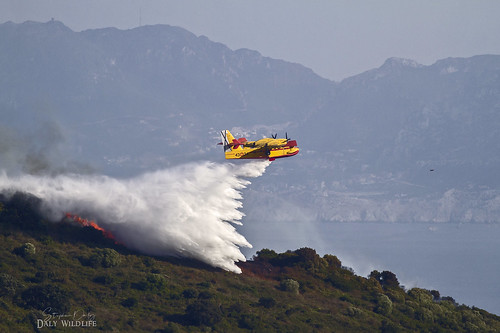 canadair cl215 waterbomber bombardier waterscooper waterdropping flames firesuppressant firefighting forestfires lowspeed prattwhitneyr2800 catalina spanishairforce ejércitodelaire ministryoftheenvironmentspain malagaairport pelayo algeciras andalucia spain thestraitofgibraltar morocco
