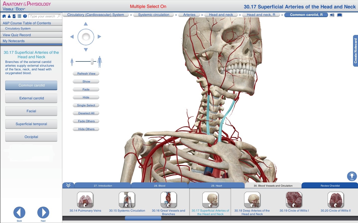 Working with Visible Body Anatomy and Physiology 1.5.04 full