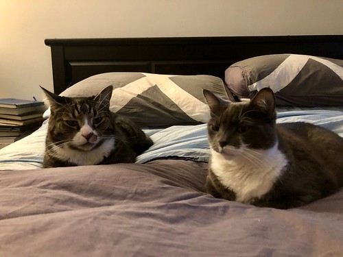 Watson & Crick on the bed