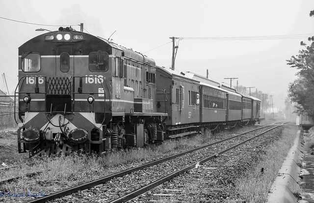 QPSR ex Queensland Rail 1963 built diesel electric 1616 Brian Millar, first excursion since March covid lock down