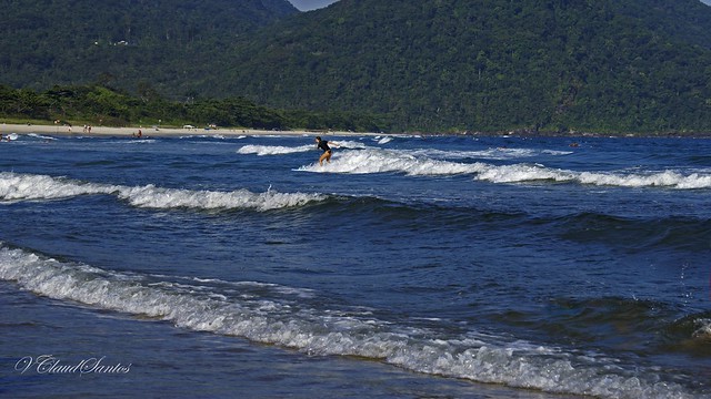 Surfando - Surfing
