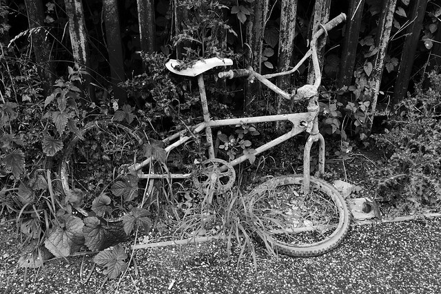 Dead Bike - Monochrome