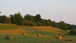 Middlefield hay rolls