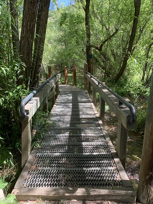 Poison Creek Trail
