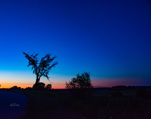 comet neowise coyotehill aldenroad tree silhouette blue sunset thedoors breakonthrough alden mi michigan summer july2020