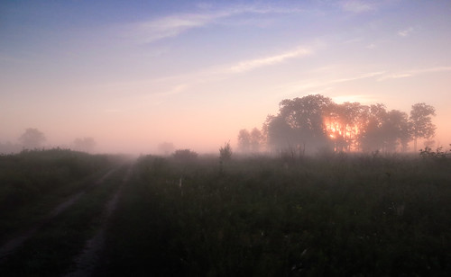 sunrise fog mist midewin illinois nature landscape