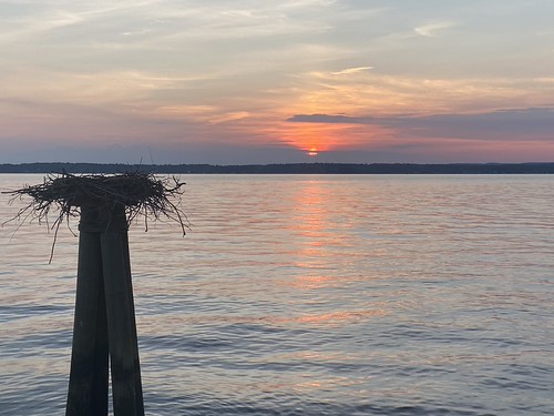 Nest sunset by afagen, Sunset over Chesapeake Bay in North East, MDnortheast maryland chesapeakebay airbnb sunset nest