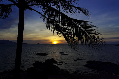 asia honeymoon kohsamui thailand canon coast dusk island sea sunny travel trees trip water sunset bophut landscape night canoneos1000d