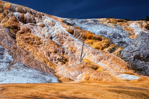 Mammoth Hot Springs First Day | by Scott Stringham "Rustling Leaf Design"