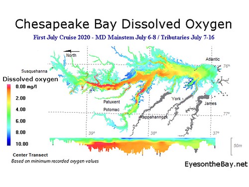 Map of Chesapeake Bay dissolved oxygen levels as measured July 7-16