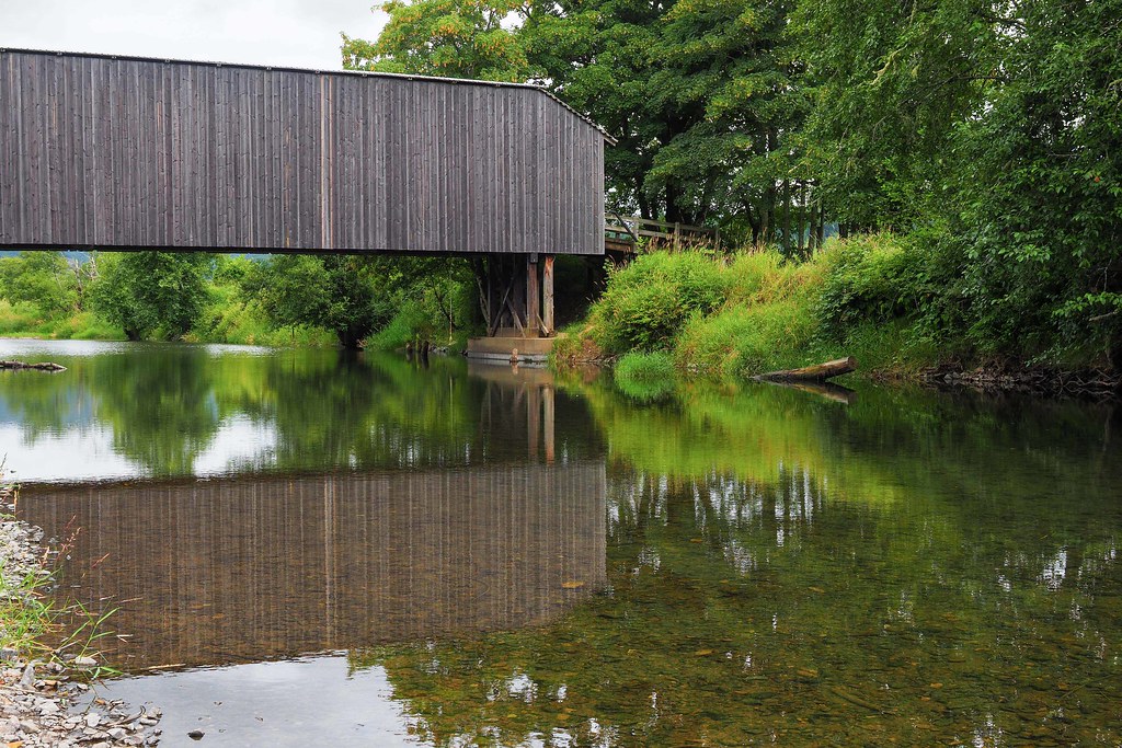 Reflections Upon a Bridge
