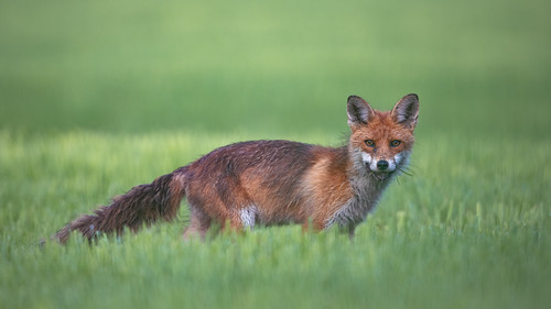 Die kleine Ewigkeit | by bertheeb