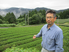 M. Takeshi Suzuki, producteur du Kukicha bio., dans son jardin de thé