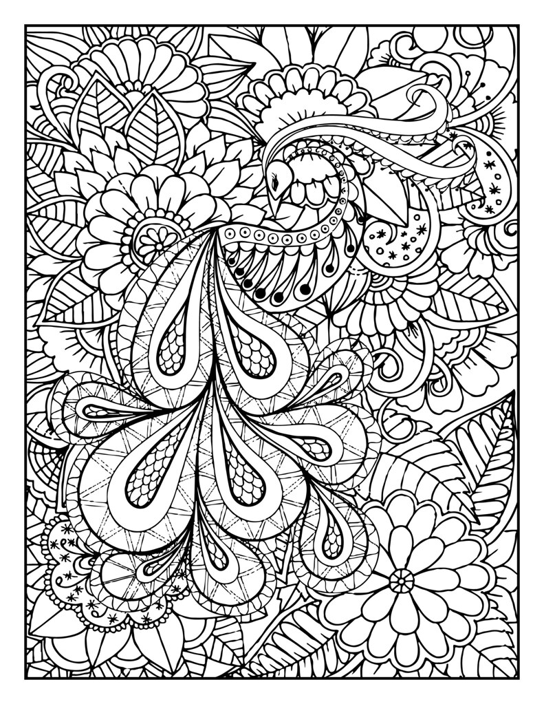 Bird Adult coloring pages