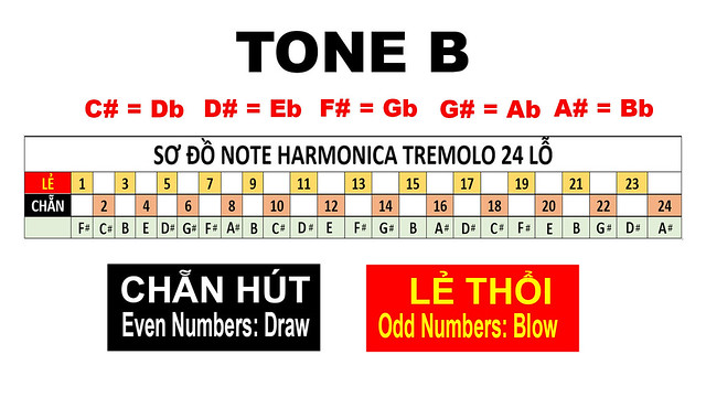 sơ đồ note kèn harmonica tremolo tone B