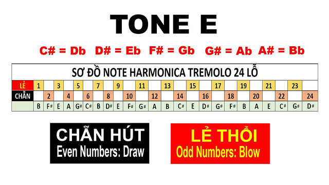 sơ đồ note kèn harmonica tremolo tone E