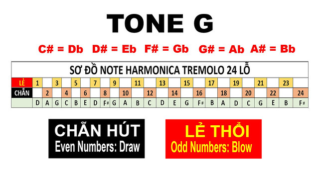 sơ đồ note kèn harmonica tremolo tone G
