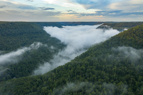 obeyrivergorge gorge valley fentresscounty tennessee tn aerial drone mavic dji pro2 fog clouds forest cumberlandplateau easternhighlandrim uppercumberland