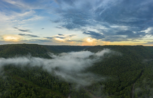 obeyrivergorge gorge valley fentresscounty tennessee tn aerial drone mavic dji pro2 fog clouds forest cumberlandplateau easternhighlandrim uppercumberland