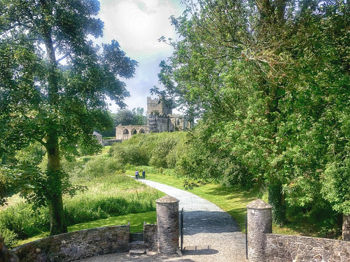 tintern abbey countywexford ireland cistercian hook peninsula mbe trees ruin architecture heritage path building colorefexpro4 church derelict eire green history gate irish july landscape nature park summer wexford phonecamera