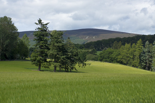 aberdeenshire scotland landscape trees field sky farm green topic