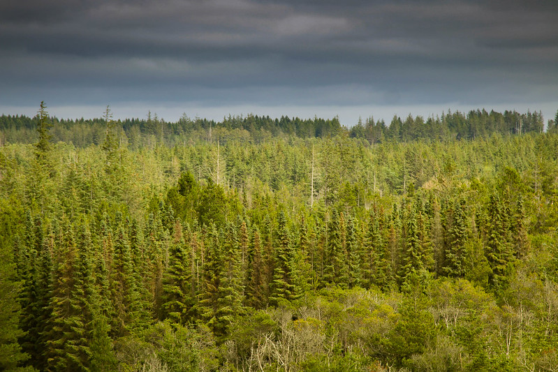 National Park Thy