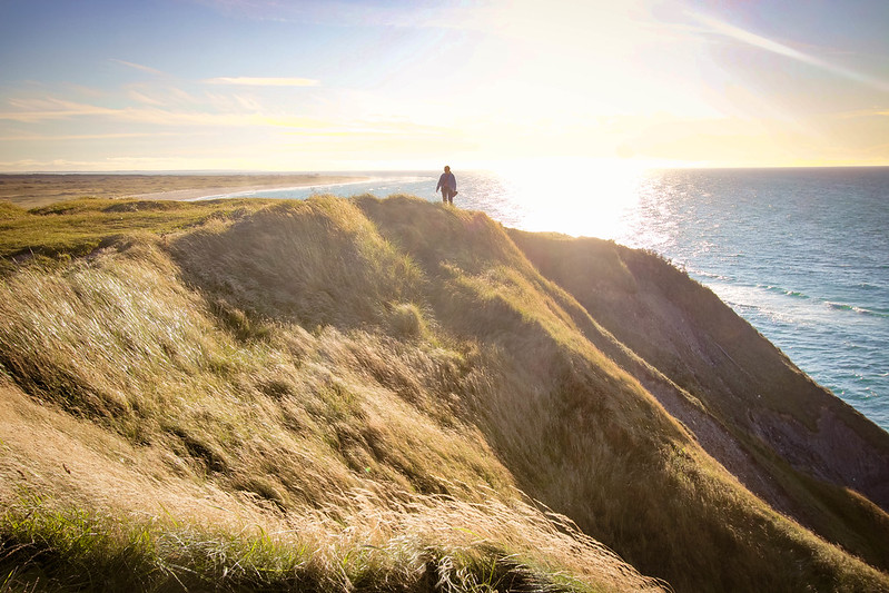 Nature in Denmark