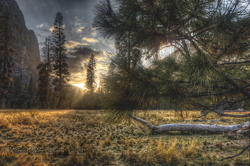 yosemitenationalpark california nature natural sunset golden nationalparks rockpaper