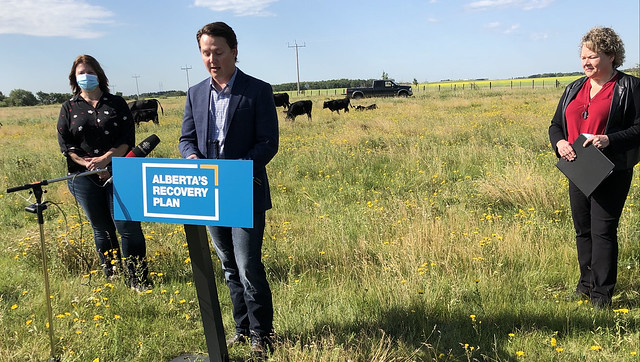 New opportunities for Alberta’s livestock sector