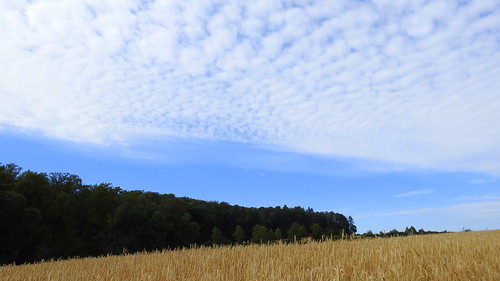 odenwald oberramstadt landschaft landscape himmel sky wolken clouds wald forest feld field natur nature ivlys
