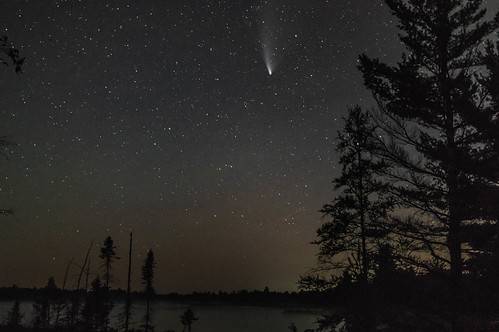 night highlandpond tree c2020f3 astrophotography stars nightsky widefield iontail torrancebarrensdarkskypreserve neowise comettail comet muskokalakes ontario canada