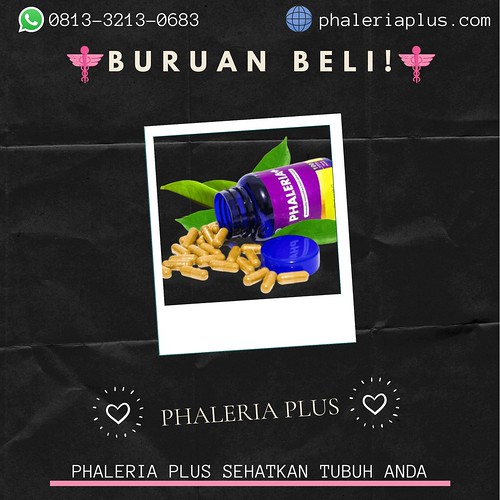 BURUAN BELI!, CALL 0813-3213-0683, PHALERIA PLUS SEHATKAN TUBUH ANDA