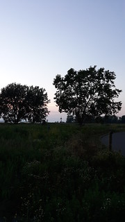 Outer harbor walk July 2020