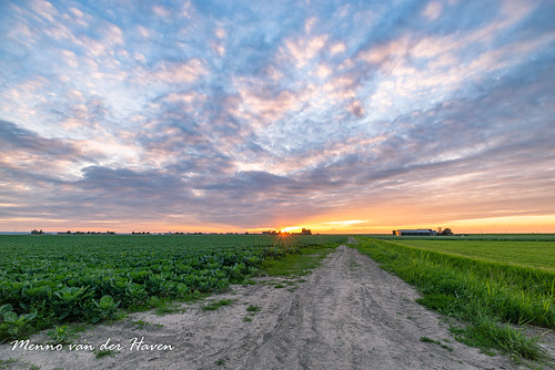 sunset road countryside netherlands beauty nature agriculture landscape holland dutch