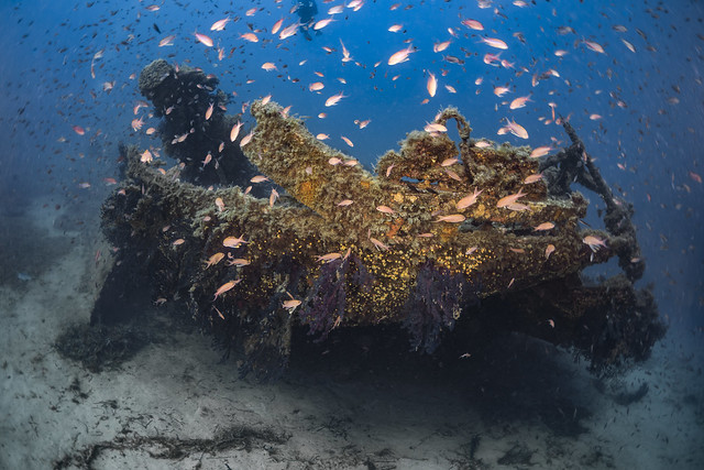The Dalton wreck of mediterranean sea.