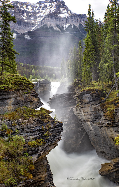 Athabasca Falls 5