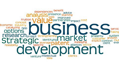 Business Development Services in Lagos Nigeria. Business Development Consultant