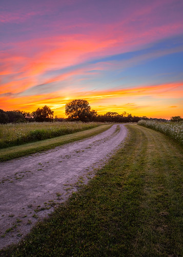 sunset davidhoefler road summer nature wisconsin rural landscape outside outdoors midwest nopeople canonef2470mmf28lusm canoneos5dmarkiv