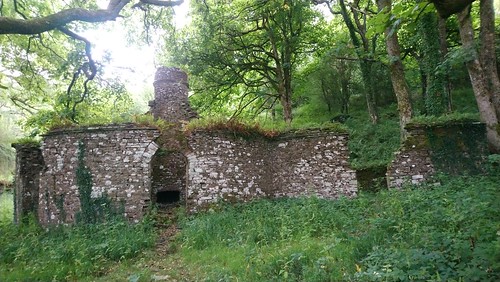 Paragon Tower (ruins), westerly flank of the Allt yr Esgair SWC Walk 308 - Bwlch Circular (via Mynydd Troed and Llangorse Lake) [Low Level Route around Allt Yr Esgair]