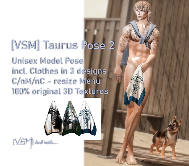 [VSM] Taurus Pose 2