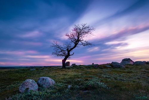 nikond810 1424mm wideangle batesford dogrocks victoria australia landscape sunset silhoette winter moody photography nisi filters sky nature tree rocks nikkor outside colourful colors